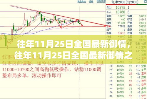 往年11月25日全國最新疫情防控動態及我的觀察與見解