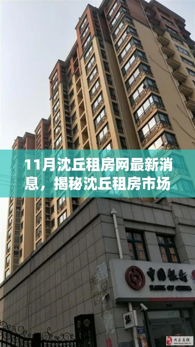 沈丘租房市場揭秘，最新動態(tài)與解讀