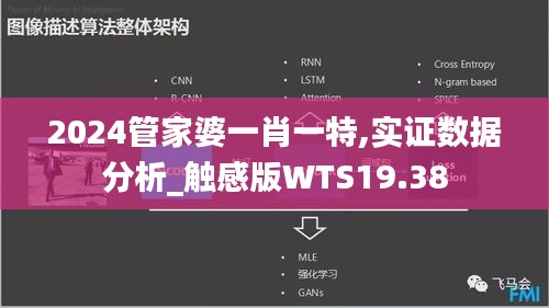 2024管家婆一肖一特,實證數據分析_觸感版WTS19.38