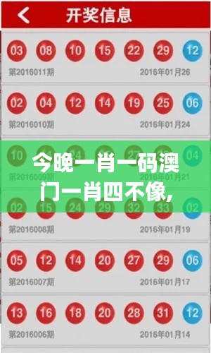 今晚一肖一碼澳門一肖四不像,靈活性執行方案_未來版OAR19.50