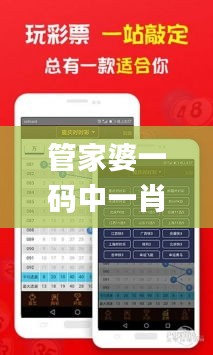 管家婆一碼中一肖2024,深入探討方案策略_高端體驗版SPH19.92