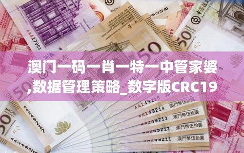 澳門一碼一肖一特一中管家婆,數(shù)據(jù)管理策略_數(shù)字版CRC19.75