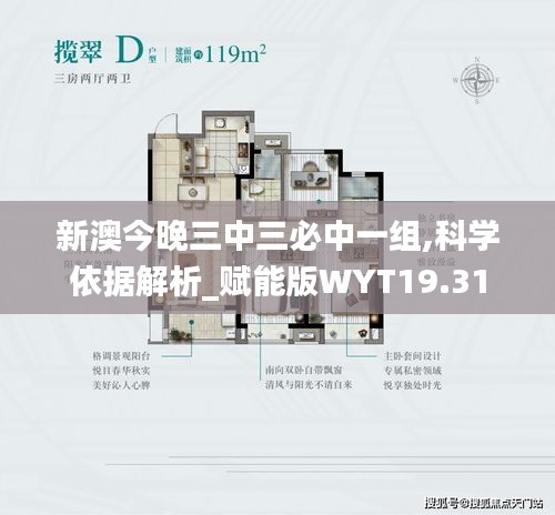 新澳今晚三中三必中一組,科學(xué)依據(jù)解析_賦能版WYT19.31