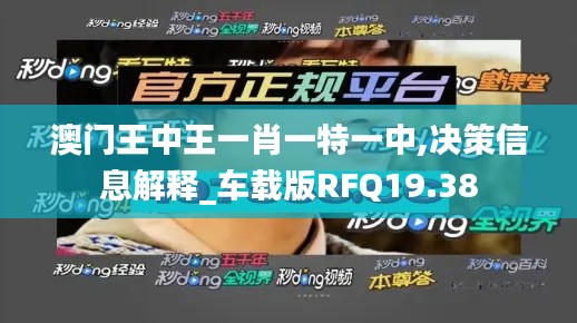 澳門王中王一肖一特一中,決策信息解釋_車載版RFQ19.38