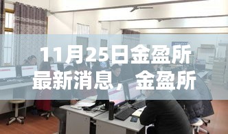 11月25日金盈所最新動態揭秘，金融領域的獨特地位與深遠影響