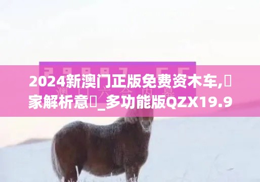 2024新澳門正版免費資木車,專家解析意見_多功能版QZX19.93