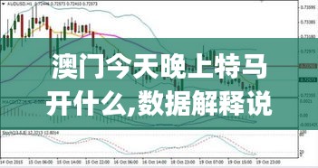 澳門今天晚上特馬開什么,數據解釋說明規劃_清晰版DVV10.67