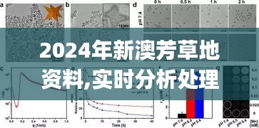2024年新澳芳草地資料,實時分析處理_多功能版WHH19.69