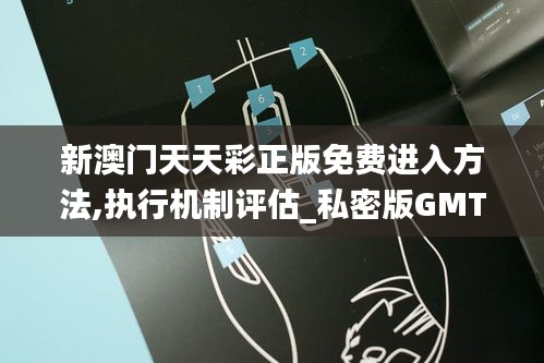 新澳門天天彩正版免費進入方法,執行機制評估_私密版GMT19.56