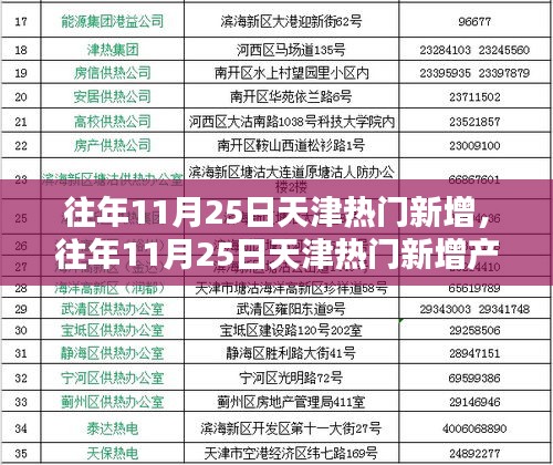 往年11月25日天津熱門新增產品全面解析，特性、體驗、競品對比與用戶洞察
