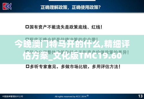 今晚澳門特馬開的什么,精細評估方案_文化版TMC19.60