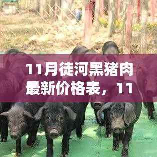 最新出爐！11月徒河黑豬肉價格表，揭示高品質豬肉價格走勢