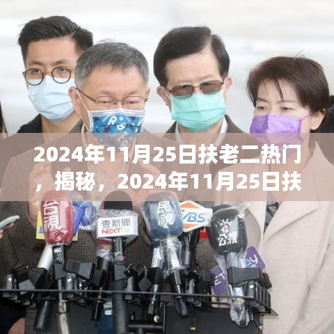 揭秘扶老二現象，2024年11月25日背后的熱門趨勢與故事洞察