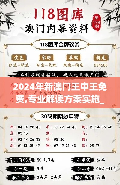 2024年新澳門王中王免費,專業解讀方案實施_時尚版EBI10.61