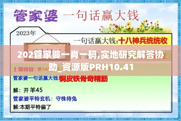 202管家婆一肖一碼,實地研究解答協助_資源版PRH10.41