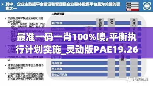 最準一碼一肖100%噢,平衡執行計劃實施_靈動版PAE19.26