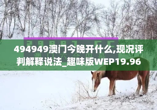 494949澳門今晚開什么,現況評判解釋說法_趣味版WEP19.96