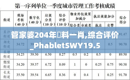 管家婆204年資料一肖,綜合評價_PhabletSWY19.5