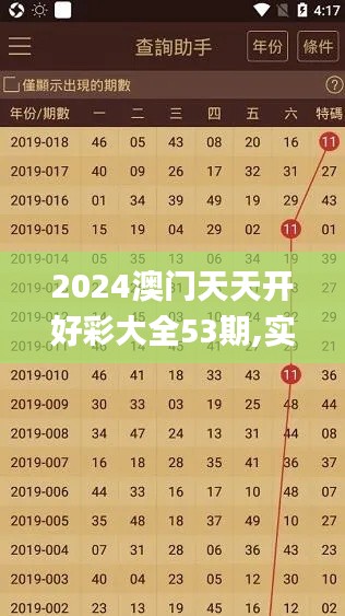 2024澳門天天開好彩大全53期,實地數據評估分析_投影版CVV10.91