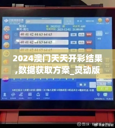 2024澳門天天開彩結果,數據獲取方案_靈動版IWS10.10