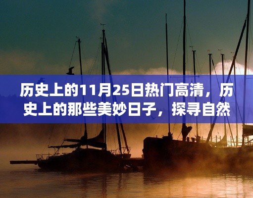 歷史上的11月25日熱門高清，歷史上的那些美妙日子，探尋自然美景之旅，尋找內心的寧靜港灣
