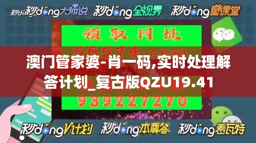 澳門管家婆-肖一碼,實時處理解答計劃_復古版QZU19.41