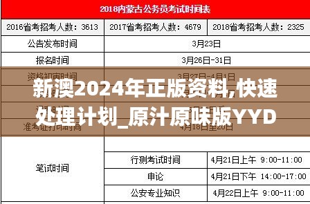 新澳2024年正版資料,快速處理計劃_原汁原味版YYD19.99