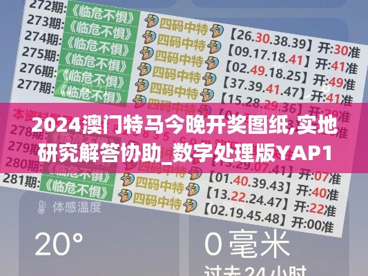 2024澳門特馬今晚開獎圖紙,實地研究解答協助_數字處理版YAP19.89