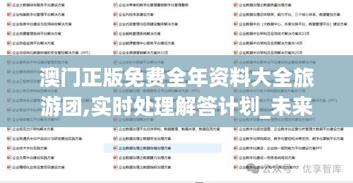 澳門正版免費全年資料大全旅游團,實時處理解答計劃_未來版HYA10.37