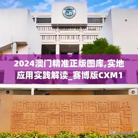 2024澳門精準正版圖庫,實地應用實踐解讀_賽博版CXM10.65