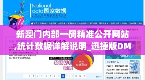 新澳門內部一碼精準公開網站,統計數據詳解說明_迅捷版DME10.71