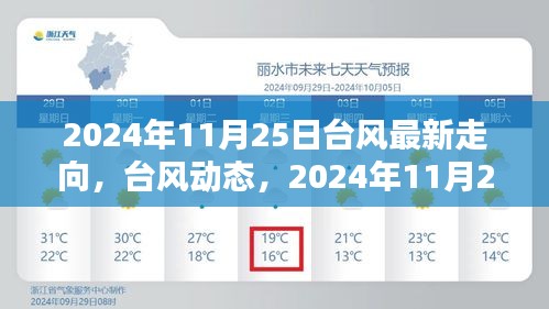 2024年11月25日臺風動態(tài)及路徑揭秘，影響回顧與最新走向