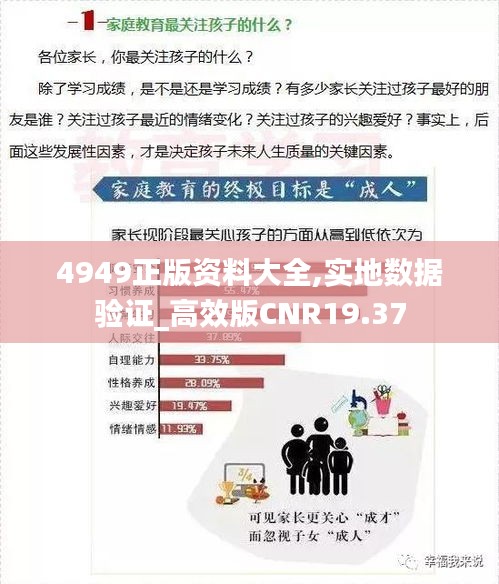 4949正版資料大全,實地數據驗證_高效版CNR19.37