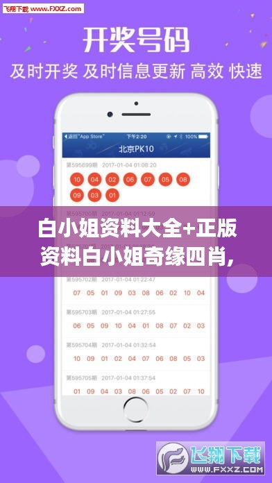 白小姐資料大全+正版資料白小姐奇緣四肖,數據驅動決策_多功能版NHT19.73