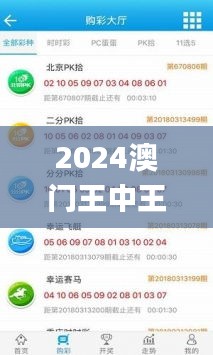 2024澳門王中王100%期期中,機制評估方案_權限版CWX10.95