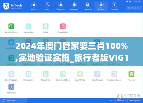 2024年澳門管家婆三肖100%,實地驗證實施_旅行者版VIG10.82