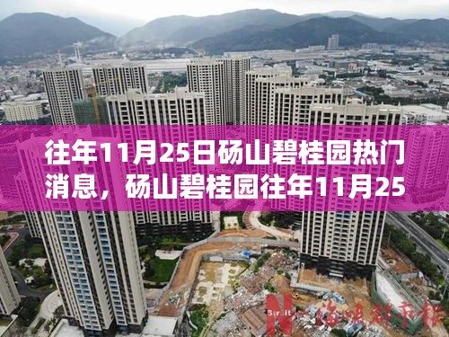 碭山碧桂園11月25日熱門消息全面回顧與評測
