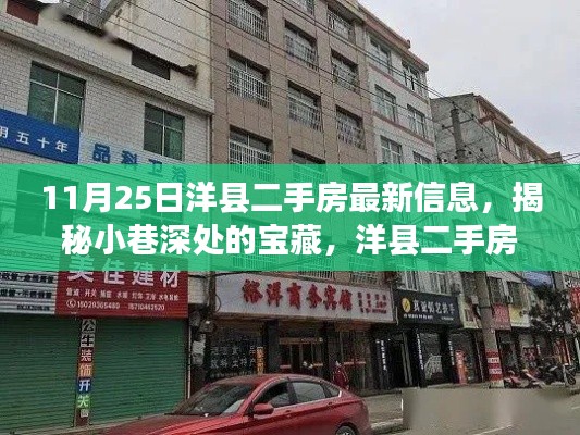洋縣二手房最新信息揭秘，小巷深處的寶藏與特色小店的故事