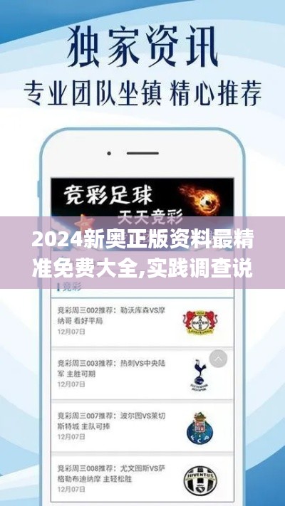 2024新奧正版資料最精準免費大全,實踐調查說明_文化版INY19.62