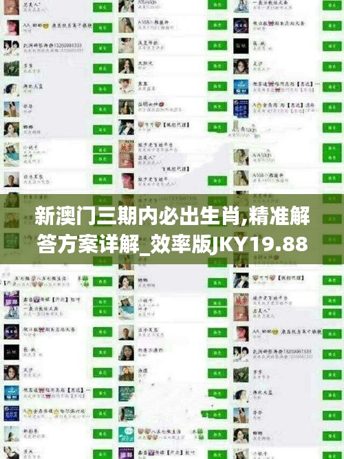 新澳門三期內必出生肖,精準解答方案詳解_效率版JKY19.88