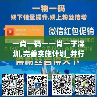 一肖一碼一一肖一子深圳,完善實施計劃_并行版MPW19.2