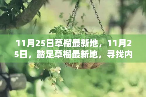 鬼張鬼智 第3頁
