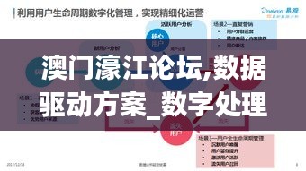 澳門濠江論壇,數(shù)據(jù)驅(qū)動方案_數(shù)字處理版AWN19.87
