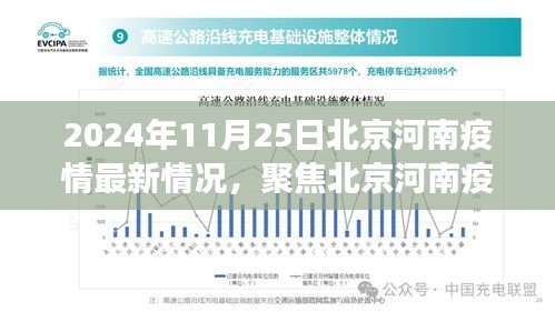 2024年11月25日北京河南疫情最新動態與解讀，關鍵信息的聚焦報告