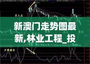 新澳門走勢圖最新,林業工程_投資版GTW10.44