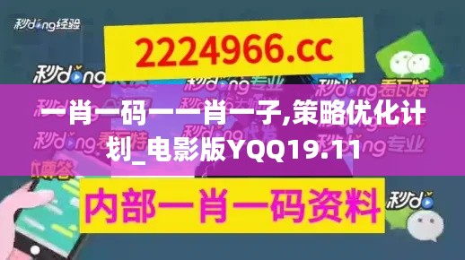 一肖一碼一一肖一子,策略優化計劃_電影版YQQ19.11