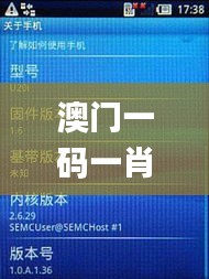 澳門一碼一肖一特一中直播,實地應用實踐解讀_迷你版KPX10.32