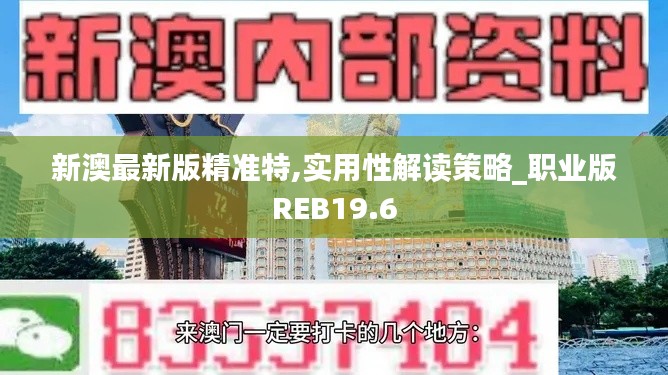 新澳最新版精準特,實用性解讀策略_職業版REB19.6