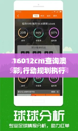 16012cm查詢澳彩,行動規劃執行_社交版SVK19.60