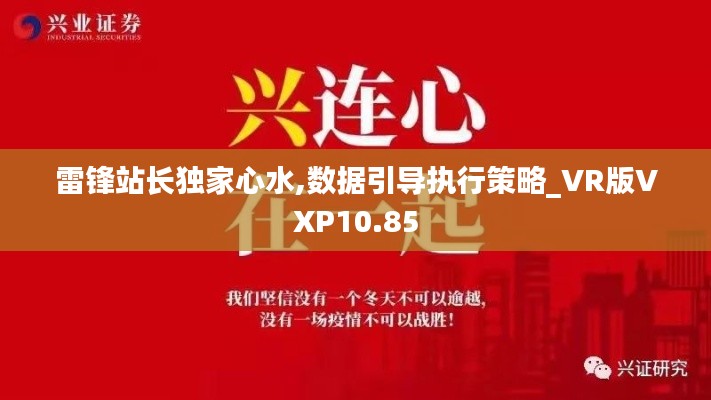雷鋒站長獨家心水,數據引導執行策略_VR版VXP10.85